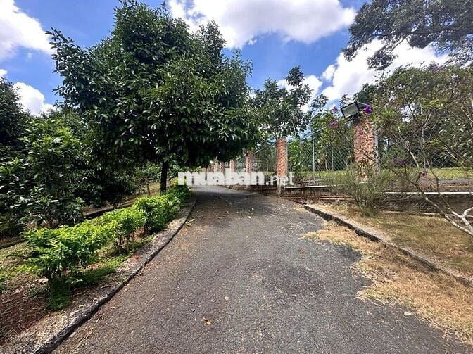 Ngộp nên bán lỗ nặng lô đất 1622m2 giá 300triệu có sẵn khuôn viên vườn