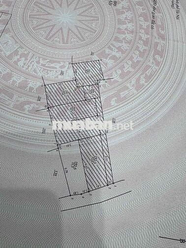 🔑 ĐỘC QUYỀN MẢNH ĐẤT AN KHÁNH, HOÀI ĐỨC - 31,3M2 NỞ HẬU - NGÕ THÔNG -