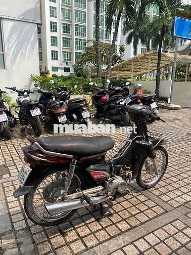 Xe dream Hàn Quốc bstp