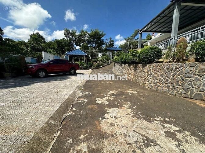 Ngộp nên bán lỗ nặng lô đất 1622m2 giá 300triệu có sẵn khuôn viên vườn