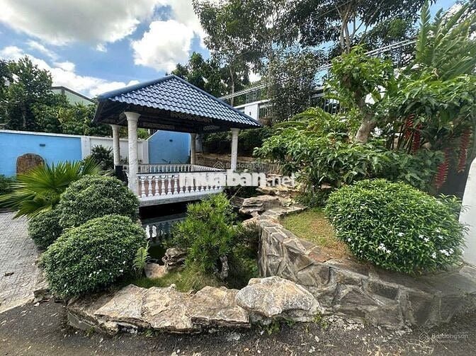 Ngộp nên bán lỗ nặng lô đất 1622m2 giá 300triệu có sẵn khuôn viên vườn