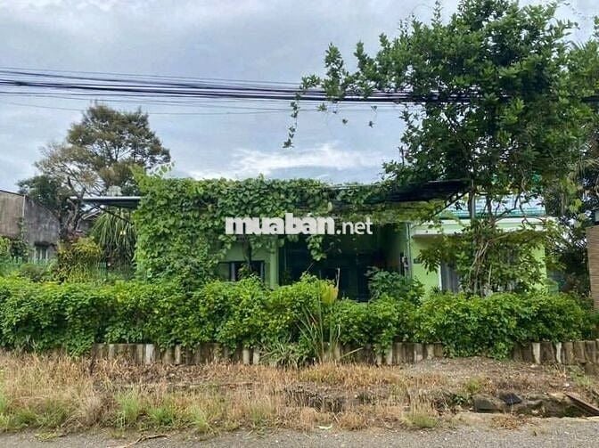 Bán đất mặt tiền Lam Sơn, phường B’Lao, Tp. Bảo Lộc, Lâm Đồng