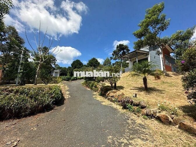 Ngộp nên bán lỗ nặng lô đất 1622m2 giá 300triệu có sẵn khuôn viên vườn