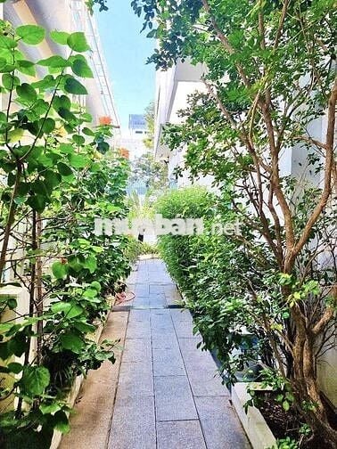 CHO THUÊ VILLA SÂN VƯỜN KHU BIỆT THỰ BIỂN AN VIÊN GIÁ 35 TRIỆU/THÁNG