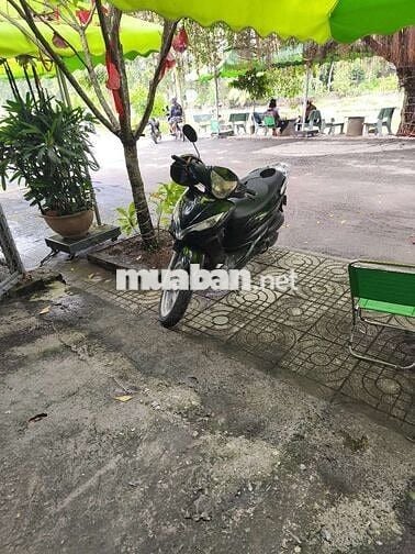 Shark zin máy êm bs TPHCM 9nút