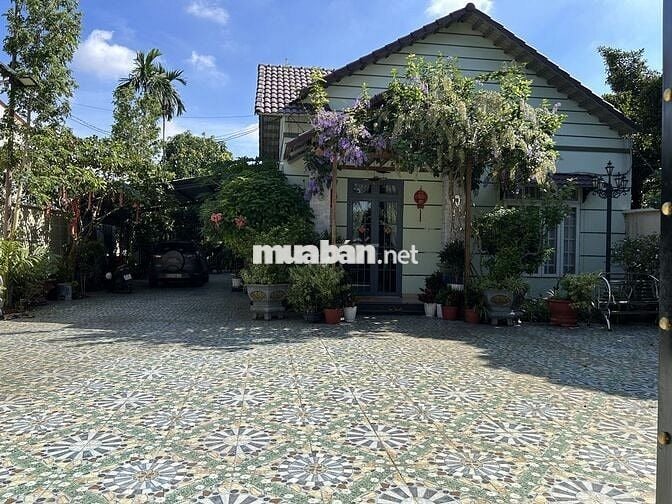 Bán biệt thự phố đường rộng, diện tích lớn, cây xanh, nội thất đầy đủ.