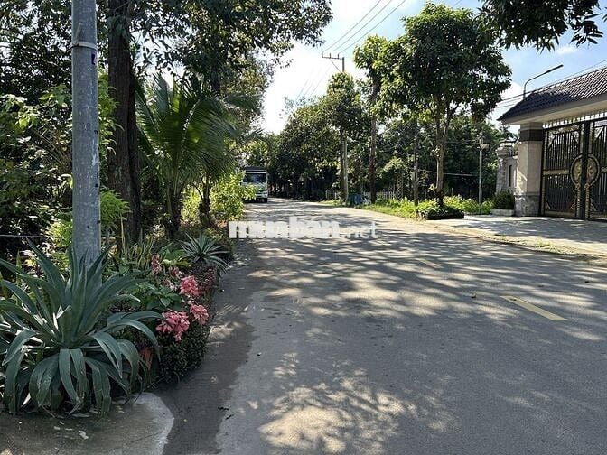 Bán biệt thự phố đường rộng, diện tích lớn, cây xanh, nội thất đầy đủ.