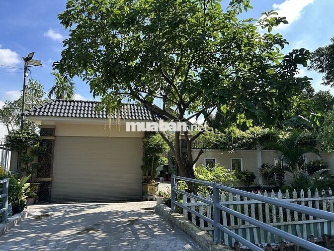 Bán biệt thự phố đường rộng, diện tích lớn, cây xanh, nội thất đầy đủ.