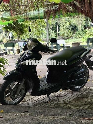 Shark zin máy êm bs TPHCM 9nút