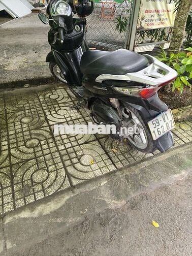 Shark zin máy êm bs TPHCM 9nút