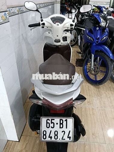 Vison,bs65, zin đẹp