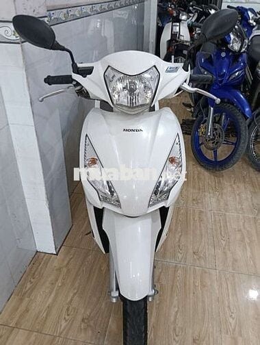 Vison,bs65, zin đẹp