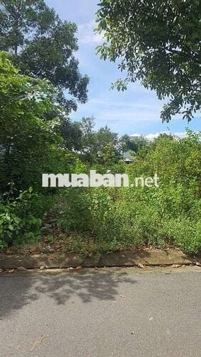 Giá Quá Tốt Để Đầu Tư , Ngay 10 Tòa EcoHome Đã khởi công