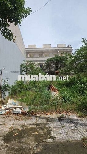 Giá Quá Tốt Để Đầu Tư , Ngay 10 Tòa EcoHome Đã khởi công