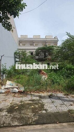 Giá Quá Tốt Để Đầu Tư , Ngay 10 Tòa EcoHome Đã khởi công