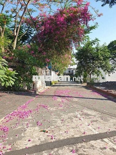 Bán lô đất 2 mặt tiền nhựa 7m gần chợ Xuân Thới Thượng , Hóc Môn