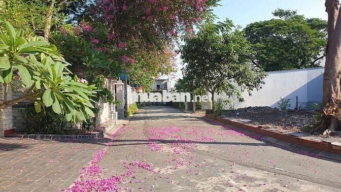 Bán lô đất 2 mặt tiền nhựa 7m gần chợ Xuân Thới Thượng , Hóc Môn