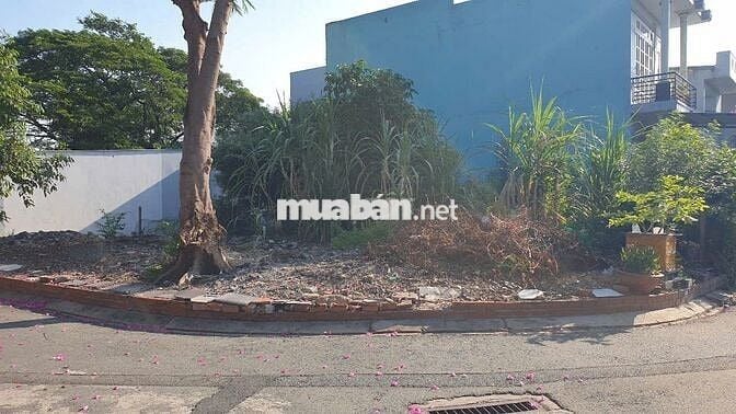 Bán lô đất 2 mặt tiền nhựa 7m gần chợ Xuân Thới Thượng , Hóc Môn