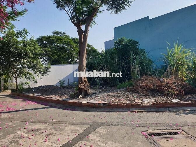 Bán lô đất 2 mặt tiền nhựa 7m gần chợ Xuân Thới Thượng , Hóc Môn