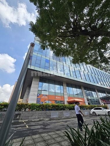 CHÍNH CHỦ GỬI BÁN GẤP NHÀ MT KHU CƯ XÁ ĐỒNG TIẾN - THÀNH THÁI, Quận 10