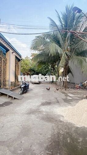 Đất Thổ Cư, Hương Lộ 2, 82m2, 4x21m, Xây Dựng Cao Tầng, Nhỉnh 5 Tỷ