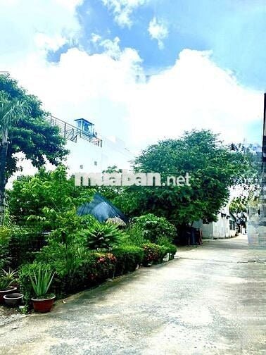 Bán Nhà DT200m (6×32)  HXH 6m Ngay ĐH. Kinh Tế Luật Đ.Số8 Linh Xuân