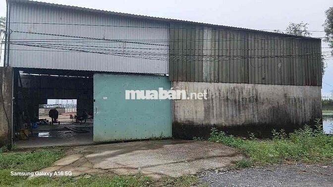 Bán 2700m2 đất + xưởng (500m2 thô cư) tại Hòa Khánh Đông, Long An