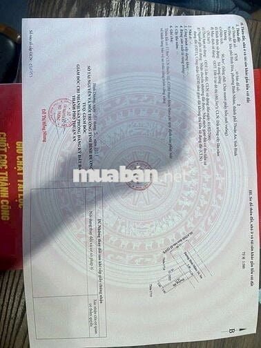 ĐẤT BÌNH NHÂM 16 ,LÁI THIÊU ,TP HCM