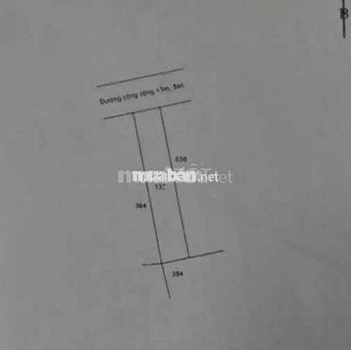 🌿 BÁN ĐẤT CHÍNH CHỦ LONG AN – SỔ HỒNG RIÊNG