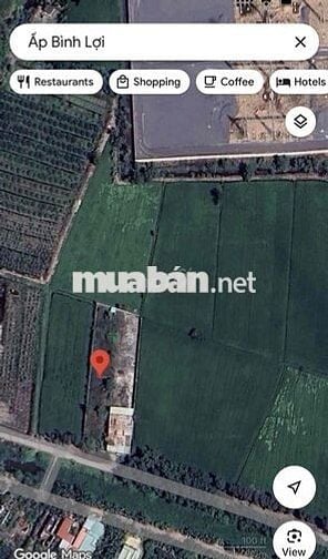 Bán 2700m2 đất + xưởng (500m2 thô cư) tại Hòa Khánh Đông, Long An