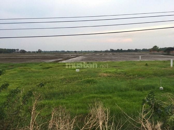 Chính chủ bán đất mặt tiền đường nhựa