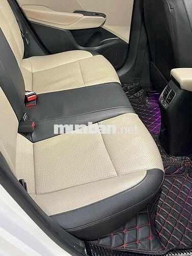 Ecsent đặc biệt doi 2020 chay 34 nghìn cây