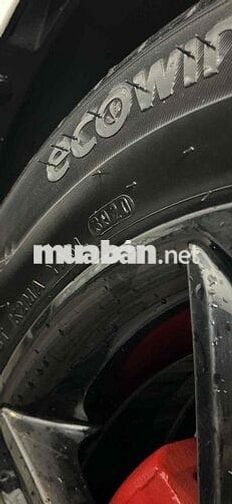 Ecsent đặc biệt doi 2020 chay 34 nghìn cây