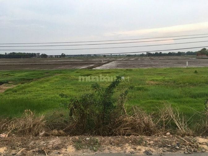 Chính chủ bán đất mặt tiền đường nhựa