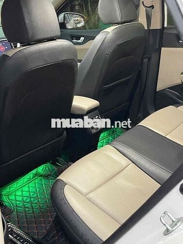 Ecsent đặc biệt doi 2020 chay 34 nghìn cây