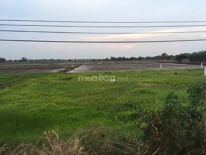 Chính chủ bán đất mặt tiền đường nhựa