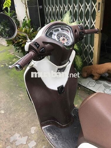 Sh mode 2015 màu trắng camay ngay chủ