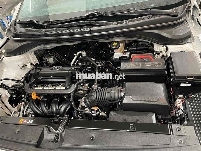 Ecsent đặc biệt doi 2020 chay 34 nghìn cây