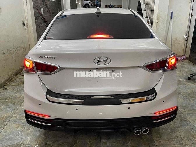 Ecsent đặc biệt doi 2020 chay 34 nghìn cây