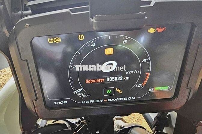 ___HARLEY Pan America 1250 ADV 2021___