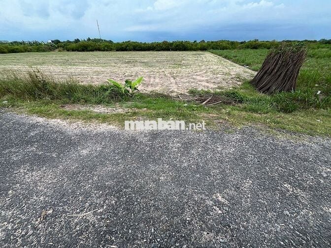 13x51 đường nhựa. Ngay KCN Phước Đông 3200ha. 1 tỷ 287tr