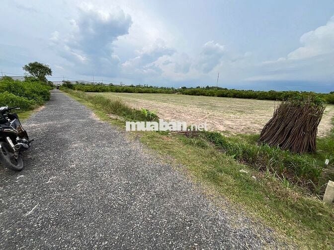 13x51 đường nhựa. Ngay KCN Phước Đông 3200ha. 1 tỷ 287tr