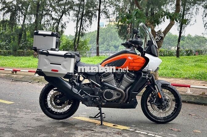 ___HARLEY Pan America 1250 ADV 2021___