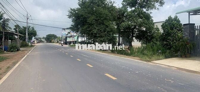 LÔ ĐẤT 500m2 MT ĐƯỜNG NHỰA CÂY DA, SỔ RIÊNG, DÂN CƯ ĐÔNG, GIÁ 1,6 TỶ