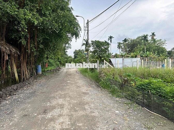 4400m2 có 300m2 thổ cư bán 22 tỷ