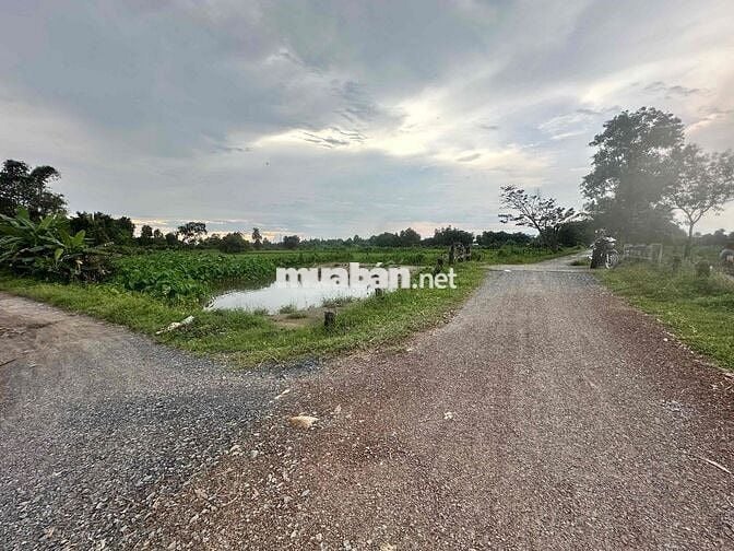 4400m2 có 300m2 thổ cư bán 22 tỷ