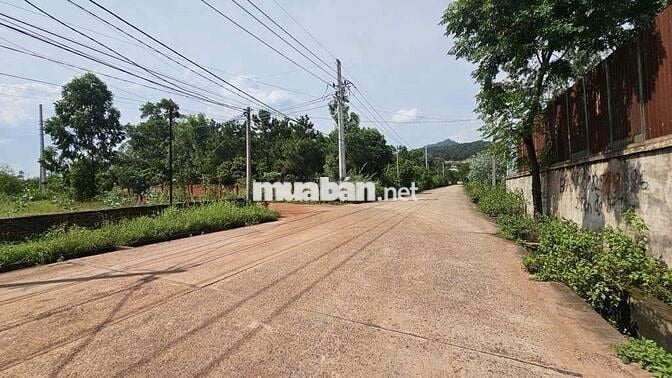 🔥🔥CHỦ BÁN GẤP - GIẢM NGAY 200 TRIỆU -LÔ GÓC 2 MẶT TIỀN -OTO TRÁNH 🔥