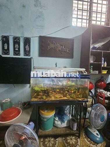 Chỉ 9,05 tỷ nhà Lê Văn Sỹ 89 M2