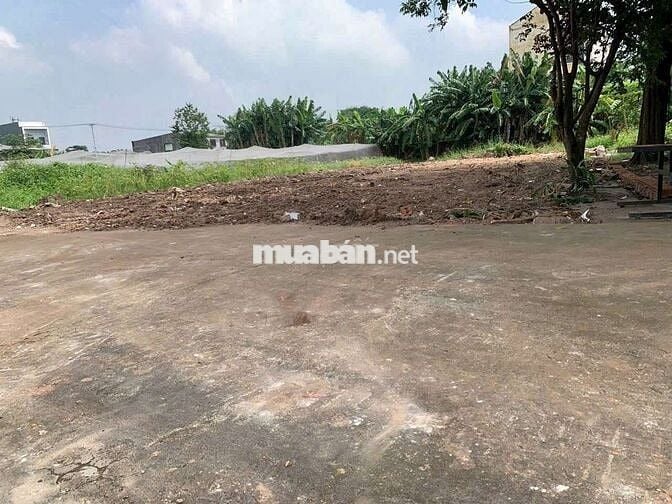 Đất thổ cư 1/Trần Thị Bốc-Thới Tam Thôn-Hóc Môn.Dt 148m2~4,5ty