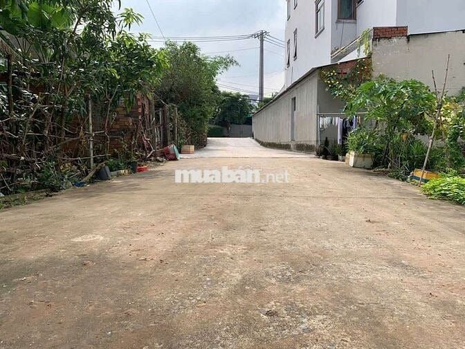 Đất thổ cư 1/Trần Thị Bốc-Thới Tam Thôn-Hóc Môn.Dt 148m2~4,5ty